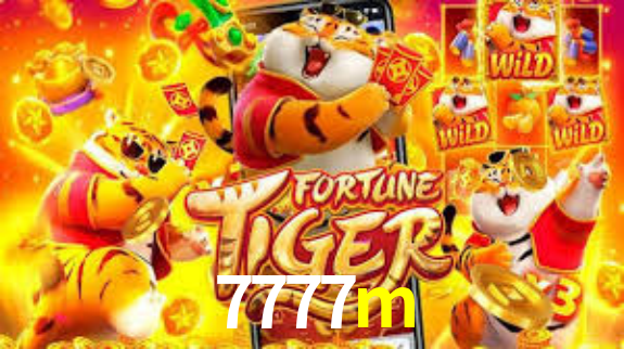 Premium Interface 7777m